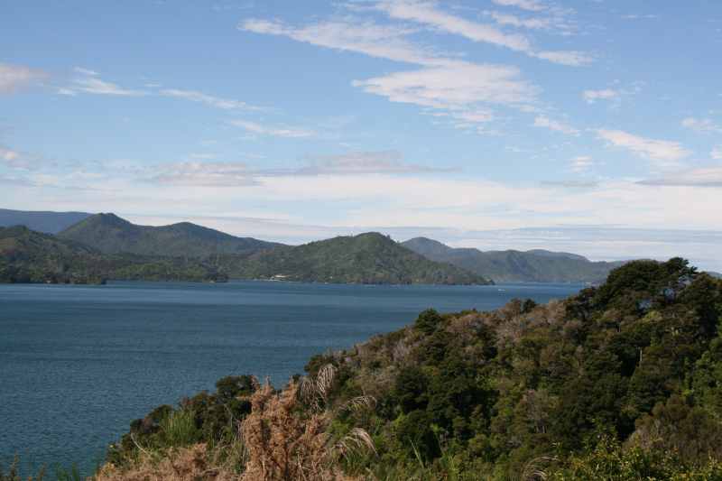 Nieuw-Zeeland 2011 - 0947